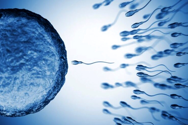 Fertility Treatment in Vasant vihar Fertility Treatment in Vasant Vihar